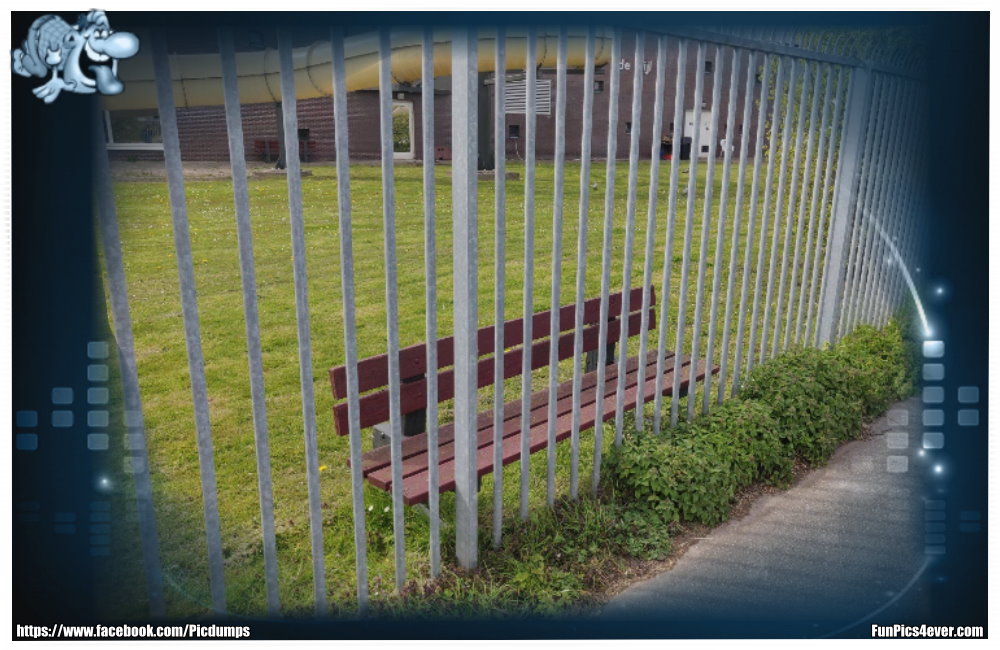 Wer war denn das wieder? Was war zuerst da? Der Zaun oder die Bank?