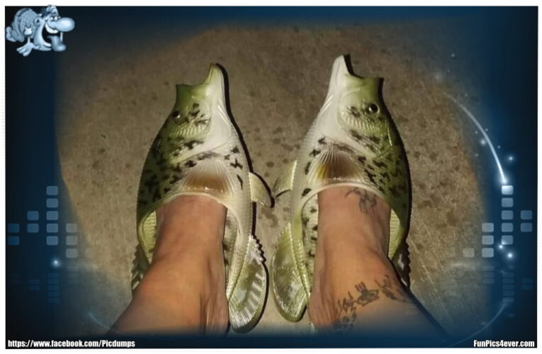 Fisch Schuhe