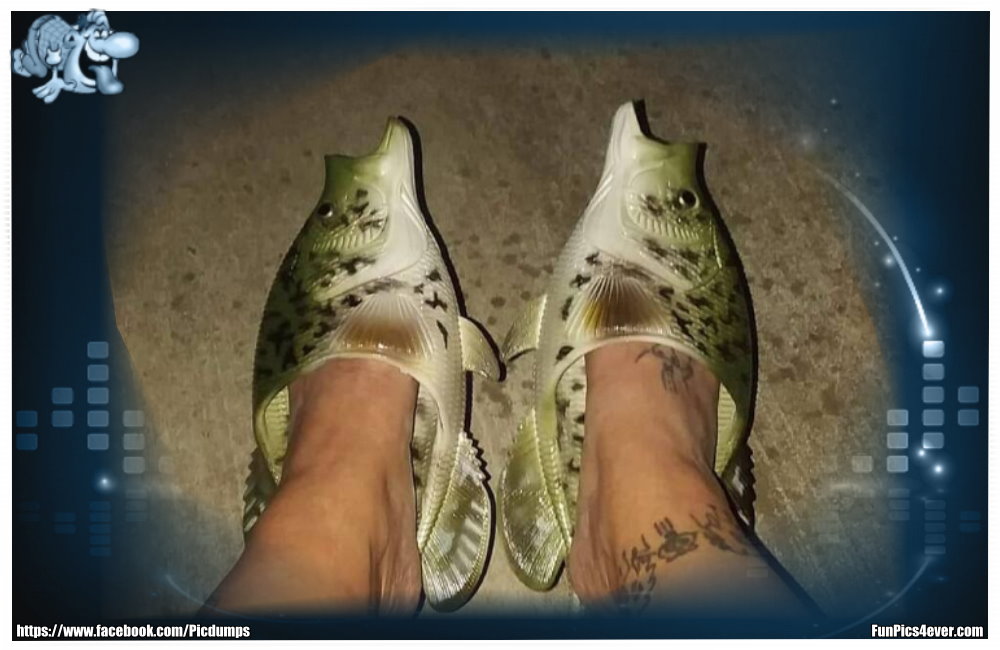 Das wird aber lecker im Raum riechen. Fisch Schuhe hat auch nicht jeder.