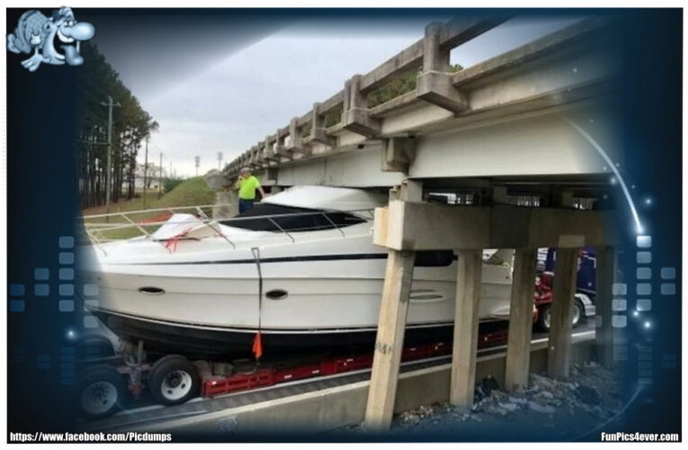 Boot vs. Brücke