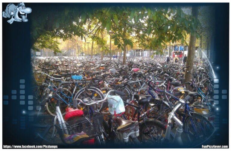 Fahrrad Parkplatz