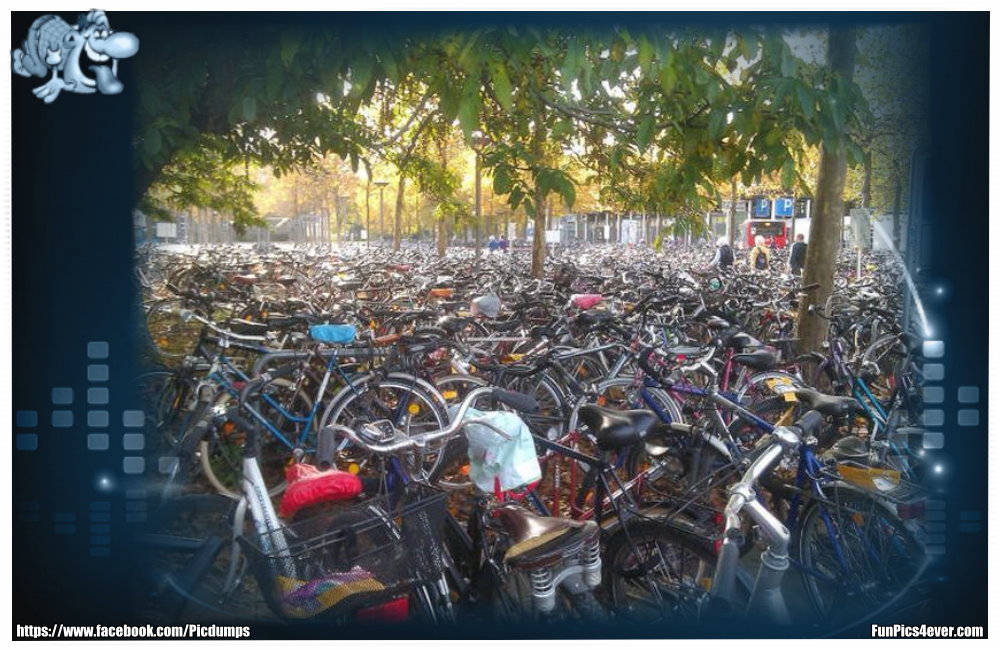 Auf diesen Fahrrad Parkplatz hat doch keiner mehr den Durchblick. Ob man da sein eigens Fahrrad wirklich findet?